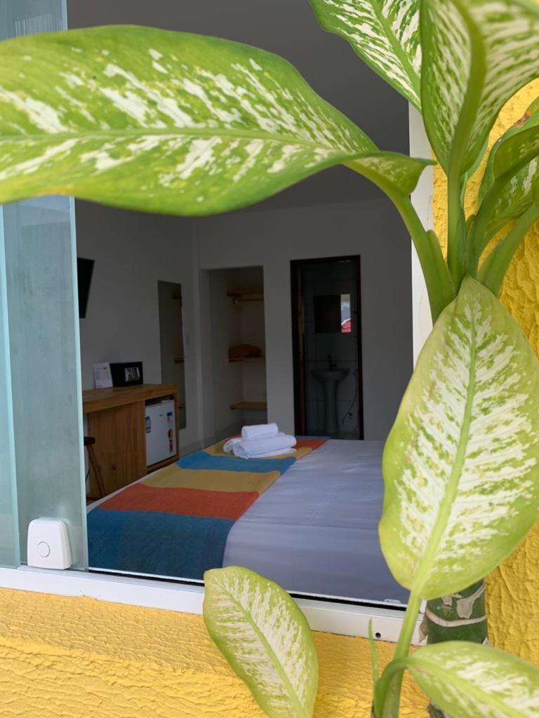 מלון São Miguel dos Milagres Suits Praia Bonita Em Milagres חדר תמונה